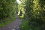 terril-de-pinchonval_promenade-dans-la-verdure_04