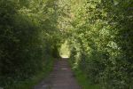 terril-reboise_promenade-dans-la-verdure_05