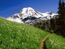 US_Mount-Baker-Snoqualmie-National-Forest-Washington