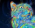changer-fond-ecran-tablette_3