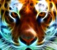 fond-ecran-tablette_2
