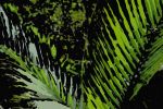 grunge_tree