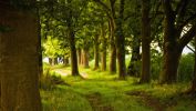 gratuit_paysage-en-grand-format-a-telecharger_01