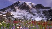 paysage-en-grand-format-a-telecharger_03