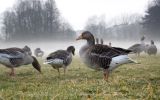 personnaliser-son-fond-d-ecran-gratuitement_01