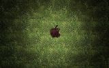 nouveautes_telechargement-gratuit-de-fond-ecran-apple_01