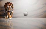 telecharger-des-fonds-ecran-apple_gratuits_03
