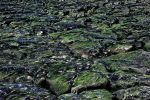 bords-de-mer_grand-format_1