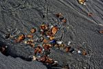 bords-de-mer_grand-format_2