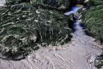 bords-de-mer_grand-format_4