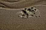 bords-de-mer_grand-format_5