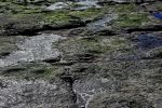 bords-de-mer_photographies_2
