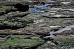 bords-de-mer_photographies_3