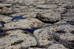 bords-de-mer_photographies_4
