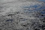 maree-basse_photo_1