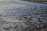 maree-basse_photo_2
