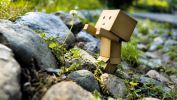 mascotte_passion-informatique_2