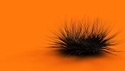oursin_passion-informatique_6