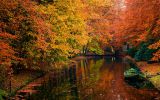 automne_fonds-ecran-gratuits_paysage_2