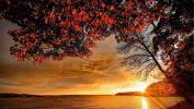 carte-postale_telecharger_paysage-hd-fond-ecran_3
