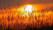 coucher-de-soleil_paysage-hd-fond-ecran_4