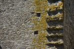 mur_telecharger_fond-grand-ecran_1