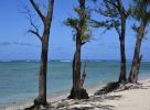 ile-maurice_voyage-et-paysage-exotique_HD_2