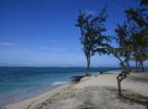 paysage-exotique-grand-format_2