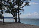 paysage-exotique-grand-format_3