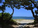 paysage-exotique-grand-format_4
