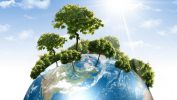 terre-et-vegetation