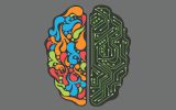 cerveau-de-geek
