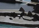 piscinas-naturals-madere-porto-moniz-1