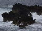 piscines-naturelles-madere-voyage-1