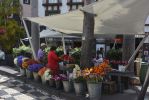 des-fleurs-de-partout