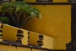 mur-typique-de-funchal-madere-5