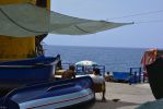 plage--typique-de-funchal-madere-4