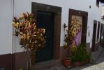 rue-typique-de-funchal-madere-4