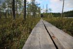 planches-jardin