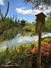 jardin-japonais