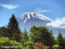 mont-fuji-symbole-du-japon
