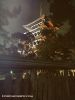 promenade-nocturne-au-japon