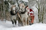 carte-postale-noel-idee-deco-gratuite