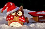 noel-idee-deco-gratuite-chouettes-fetes
