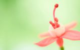 fond-ecran-windows-secret_09