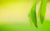 fond-ecran-windows-secret_10