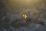 derniere-chance-emotion-sentiment_16