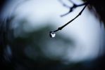 larme-emotion-sentiment_03
