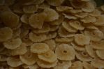 ananas-seches