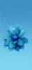 Fleur-bleue-design